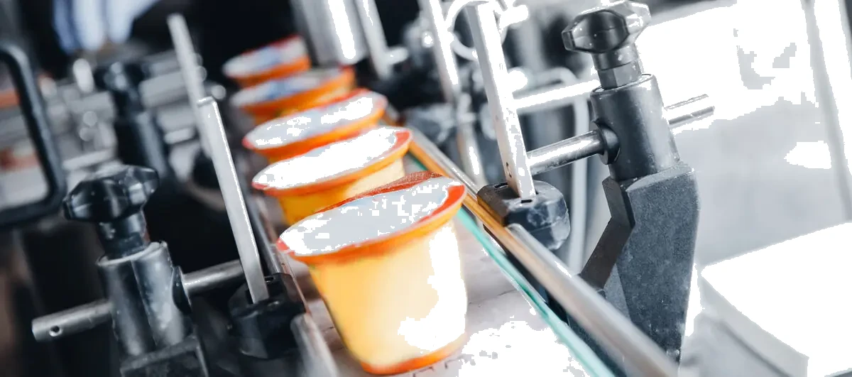 Why Packaging Machines Struggle in Real Plants