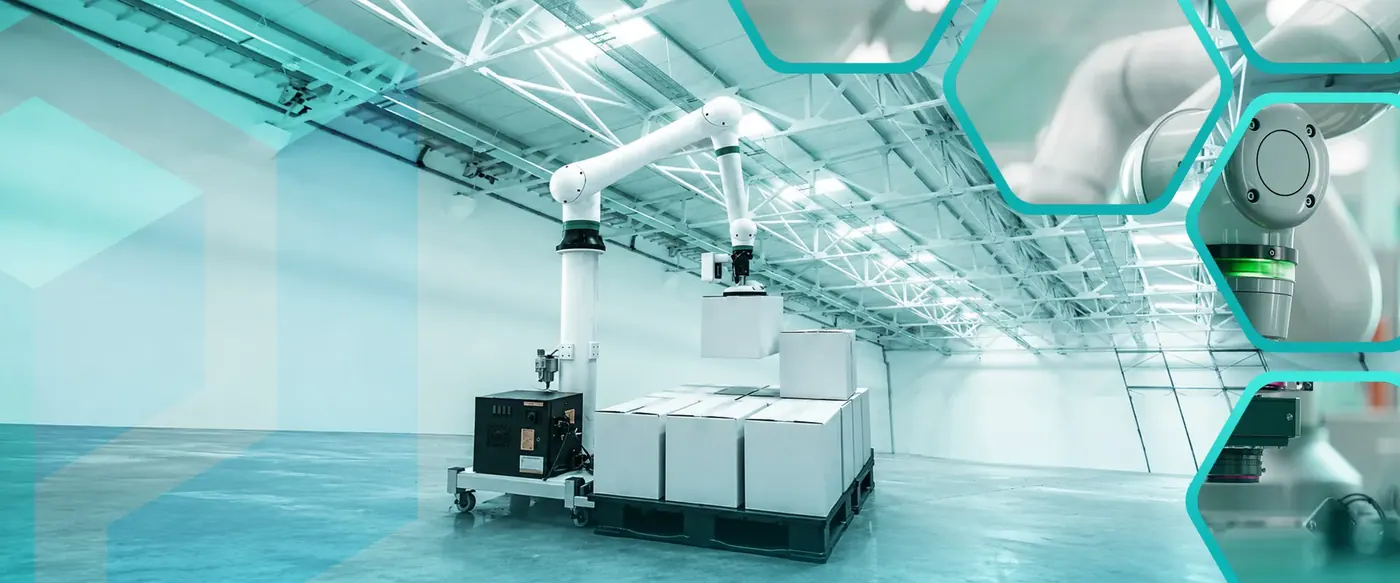 Automatic Palletizers